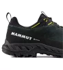 Обувки Mammut Alnasca IV Low LTH GTX Men
